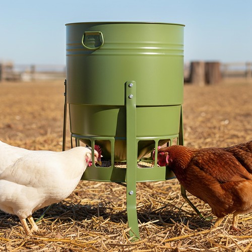 Metal chicken feeder 50lbs - metal,